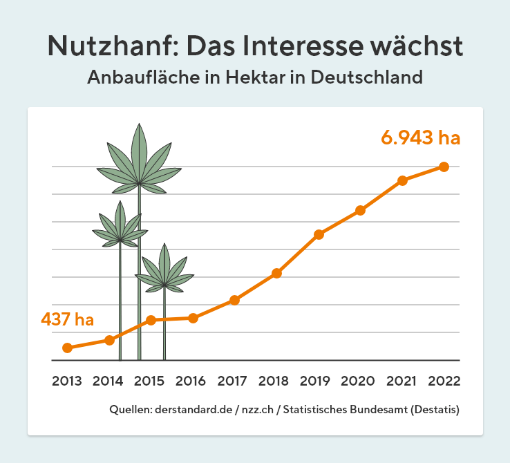 Die Graphik zeigt einen ansteigenden Graphen, welcher die Anbaufläche in Hektar von Nutzhanf in Deutschland in den Jahren 2013 bis 2022 aufzeigt. Der Graph ist orange und startet bei 437 Hektar und endet im Jahr 2022 bei 6943 Hektar. Zudem sind auf der Graphik drei unterschiedlich große Hanfblätter abgebildet.