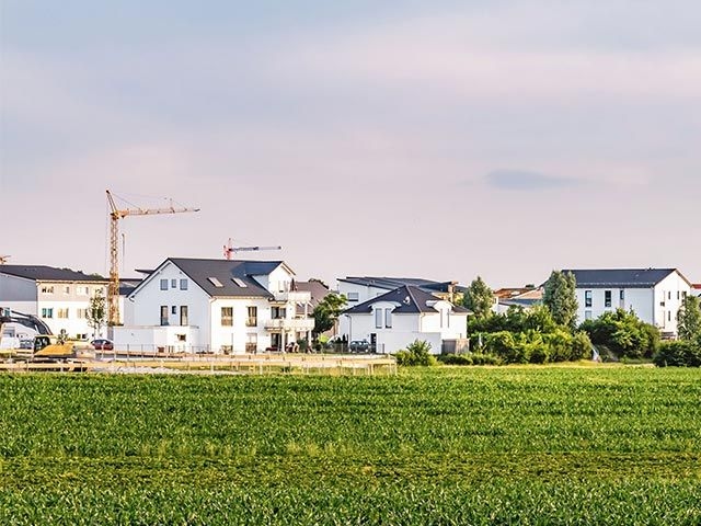 Viele weiße Häuser mit grauem Dach und dazwischen einige Kräne.