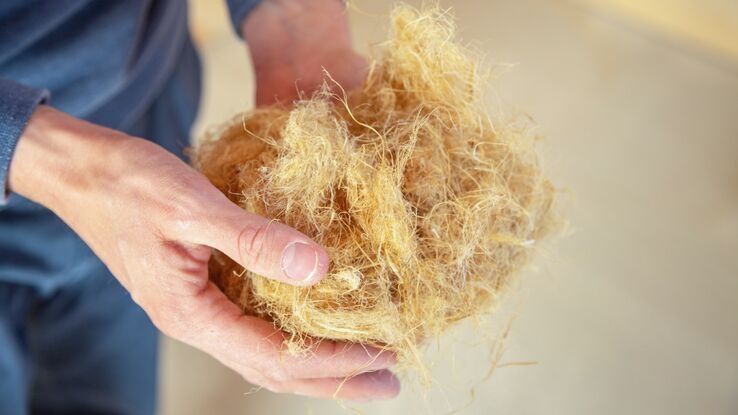 Komprimierte wärmedämmende Hanffaser-Verbundplatten liegen in einer Hand.