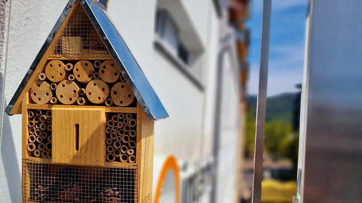 Ein Zuhause für Insekten: die Insektenhotels der Interhyp AG