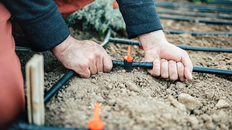 Eine Person verlegt eine Tröpfchenbewässerung im Garten.