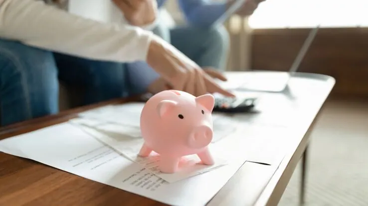 Ein Sparschwein steht sinnbildlich für wichtige Fakten und Daten für den Kauf eines Hausbootes.