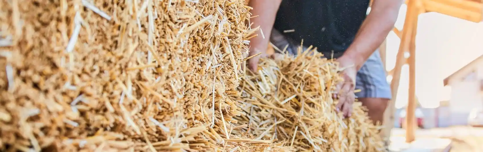 Person hält einen Bündel Stroh in der Hand, das als Baumaterial verwendet wird.
