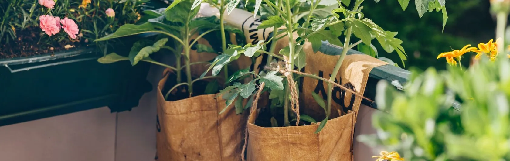 Welche Bedeutung hat Nachhaltigkeit beim Wohnen und Leben? Pflanzen in recycelten Blumentöpfen symbolisieren das.