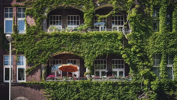 Das Foto zeigt eine Fassade die mit Efeu zugewachsen ist. Sie steht für das Thema Nachhaltigkeit.