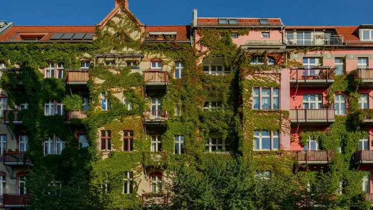 Das Foto zeigt eine begrünte Fassade und steht für Nachhaltigkeit.