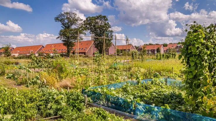 Gartenarbeiten bei der Steuer absetzen? Pflanzenbeete symbolisieren das.