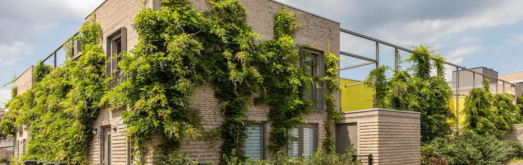 Das Foto zeigt eine begrünte Fassade eines Wohngebäudes und steht sinnbildlich für das Thema Begrünung von Gebäuden.